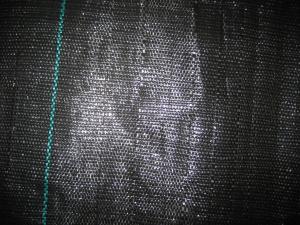 China PE / PP Woven Ground Cover Fabric 150gsm , Weed Mat For Home Garden factory
