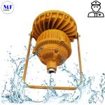 Atex Certified Explosion Proof Light IP66 Ik10 For Gas Station Oil Industry