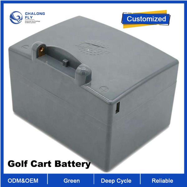 OEM ODM LiFePO4 lithium battery pack golf cart EV lifepo4 battery golf cart club