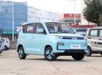Baic Yuanbao 4 Seater Mini EV Electric Car New Energy Vehicle 120km CLTC Range