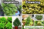 Horticulture IP65 3500K 1000 Watt LED Grow Lights