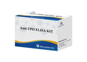 China Anti Thyroid Peroxidase Elisa Test Kit Anti TPO Antibody Test Kits factory