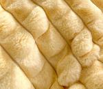 320gsm Soft Plush Coral Fleece Blanket Warm Minky Throw Blankets