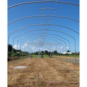 Grow Vegetables Single Span Greenhouse Flowers Tropical Climate Greenhouse