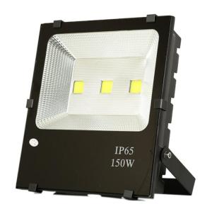 China 800LM Waterproof Outside Flood Lights Natural Cool White For Lawn factory