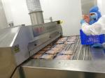DJL Liquid Nitrogen Cooling Tunnel Freezing Equipment For High Quality