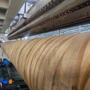 Sj120/33 Geo Membrane Film Extrusion Line With Customized Options And CE Certification