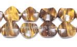 Tiger Eye Undee Coins