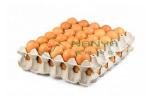 290 kw Dryer Egg Tray Machine