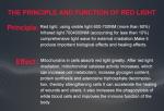 3 In 1 Removable Body Sculpting Weight Loss Red Light Therapy Machine 660nm