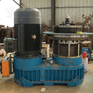 China Fuel Eucalyptus Wood Pellets Machine Vertical Ring Die 3t/ H factory