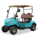 NL-G2020 48V 5KW Golf Cart Car 2 Passenger with Max. Speed 15.5mph 25khp and