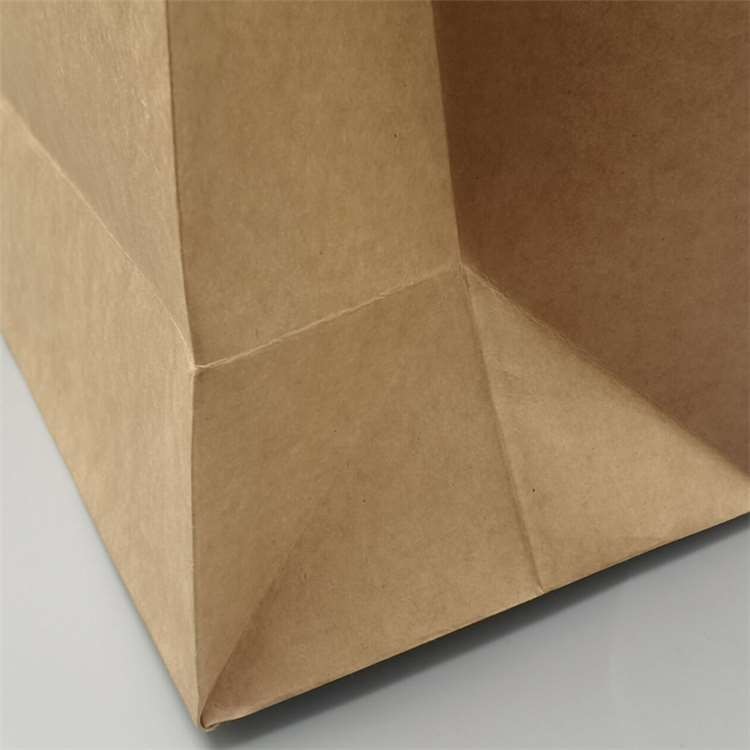 Custom Unique Colour Printing Kraft Paper Shopping Bags Commercial