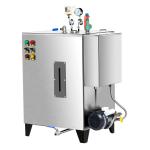 26L Water Capacity Steam Generator Boilers propane Energy Savings OEM