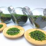 Customer Needs Aonori Green Seaweed Texture nori Powder Umami Flavor