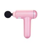 2000mAh Portable Muscle Fascia Massage Gun With 6 Speeds 4 Massage Heads