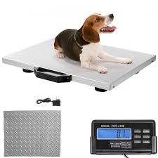 China Floor Scale Stainless Steel With Indicator Animal Weigher on sale
