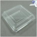 Disposable Fruit Packaging Box-Factory Offer Disposable Plastic takeaway