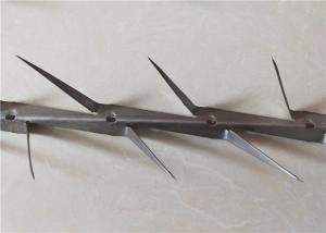 China Small Size Boundary Wall Spikes , Anti Climb Fence Spikes Stainless Steel factory