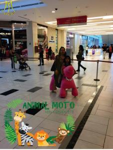 China Hansel coin operated electric stuffed walking kids happy rides on animal for party factory