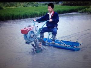 China Rice seed planter factory