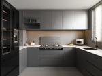 Lacquer Kitchen Cabinet French Design Laminate Commercial Kitchen Cabinets