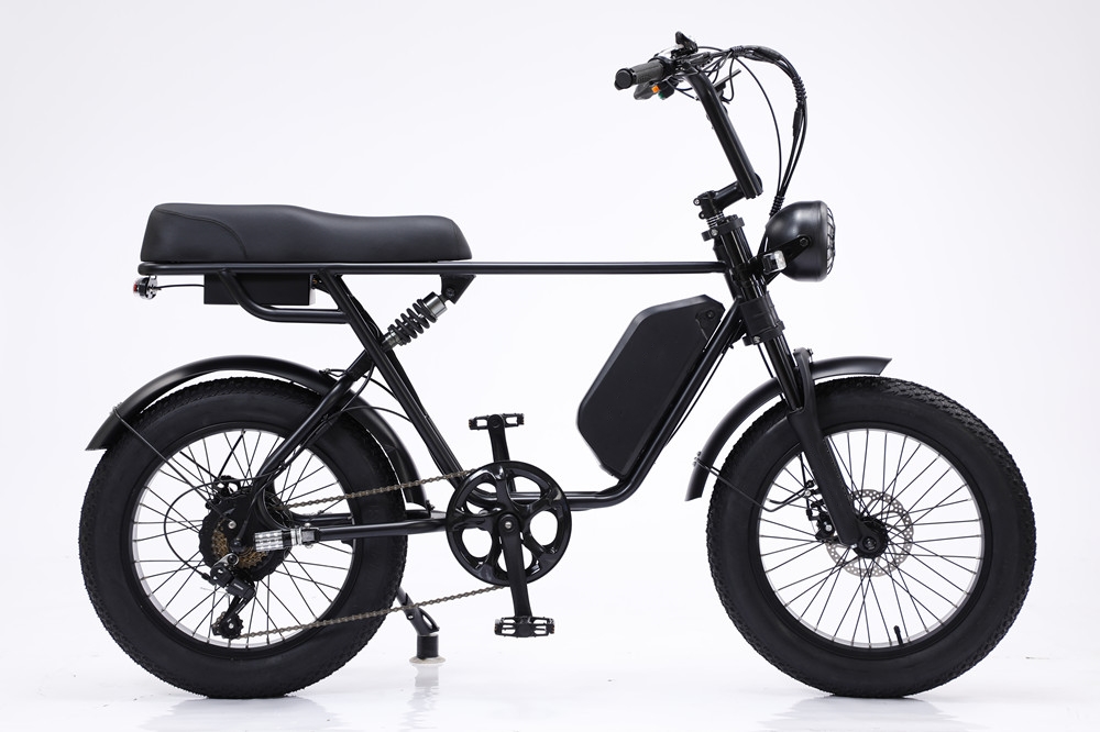 48V 750W Motor Electric Hybrid Bike Full Suspension 20 Inch Fat Tire Ebike 17Ah Battery