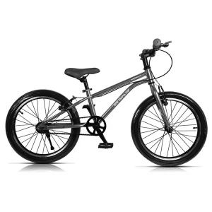 China Gross Weight 16.8g Adult Cycle Road Bike Bicycle With Belt Drive And Aluminium Frame factory