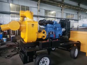 China Diesel Fueled Water Pump Unit 220V Voltage 50Hz Frequency Multipurpose factory