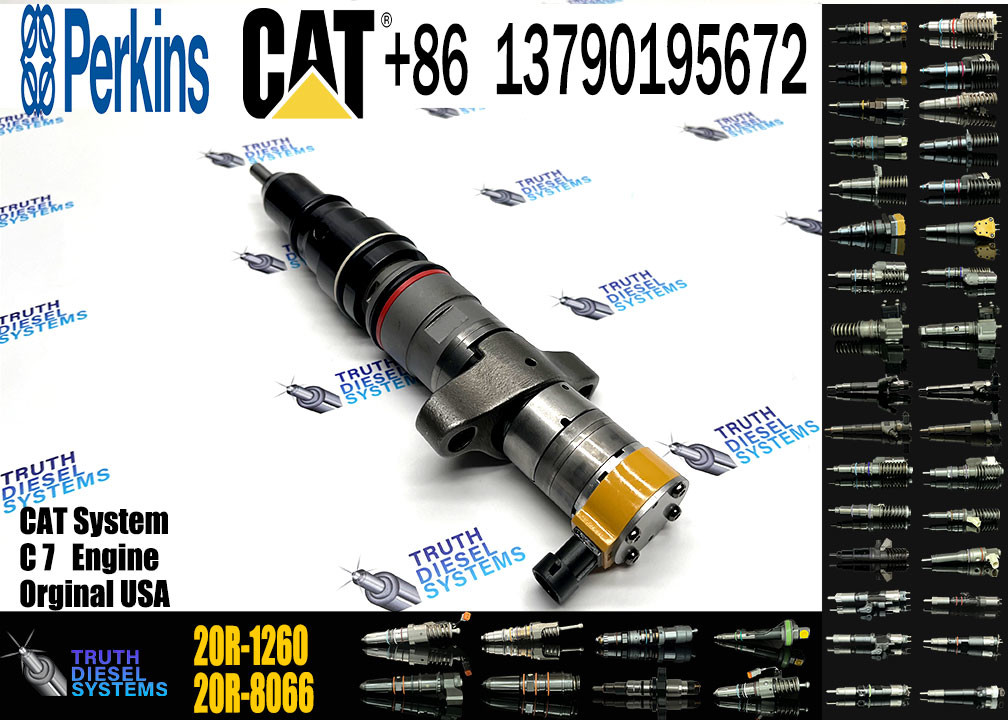 Common Rail Fuel Injector 20R-1260 269-1839 293-4072 241-3239 238-8091 10R-7225 20R-8066 For CAT C7