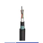 48 Fiber Multimode OM3 Direct Burial Fiber Optic Cable Armored PE GYTA53