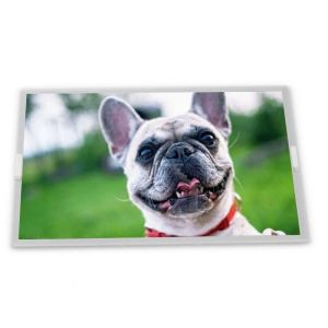 High Resolution 7.0-Inch A070VW08 V2 TFT LCD Panel 800*480 Touchscreen LCD