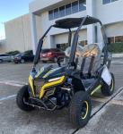 I6 Electric Super Quiet 650W DC Motor 48V 20Ah Battery Electric UTV