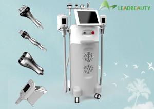 China 2016 Factory Promotion 5 Handles Multifunctional Fat Freezy machine factory