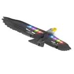 2.4g Eagle Plane Toy Model Airplane with Eagle Glider Shape Animal RC Flying