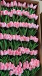 Best sell Wedding Decorative PU Real Touch Tulip Rose Flowers Tulips Artificial