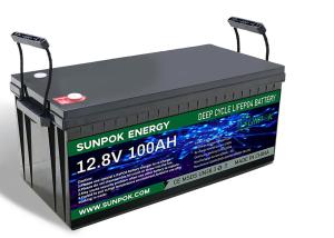 China 12v 50ah 100ah 200ah Deep Cycle Lithium Battery For Energy Storage factory
