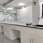 Floor Standing Island Lab Bench , Smooth Laboratory Wall Bench Furniture