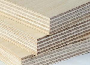 China Good Flatness Good Internal Quality Wood Ply Plywood Multilayer Plywood factory