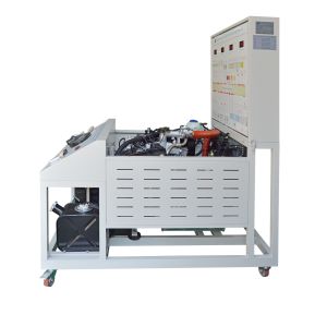 Automotive Vocational Diesel Engine Teaching Equipment