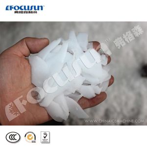 Water Cooling Seafood Cooling Seawater Flake Ice Maker Machine in Harsh