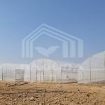 Durable Tunnel Greenhouse 6x15m with PE Film Cover for Flower Growing