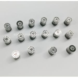 Replaceable Month Year Injection Mold Date Stamp 6mm DME HASCO