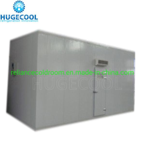 COLDROOM17 CE Certificated Deep Freezer Room Blast Freezer for Meat Pork Fish