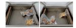 0.78KW 15m3/h Vacuum Packaging Machine 440X480X730mm Outer Size