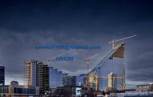 China Job Ready Tower Crane 215 feet 65 meter Jib 10 ton Capacity 2ton at the tip factory