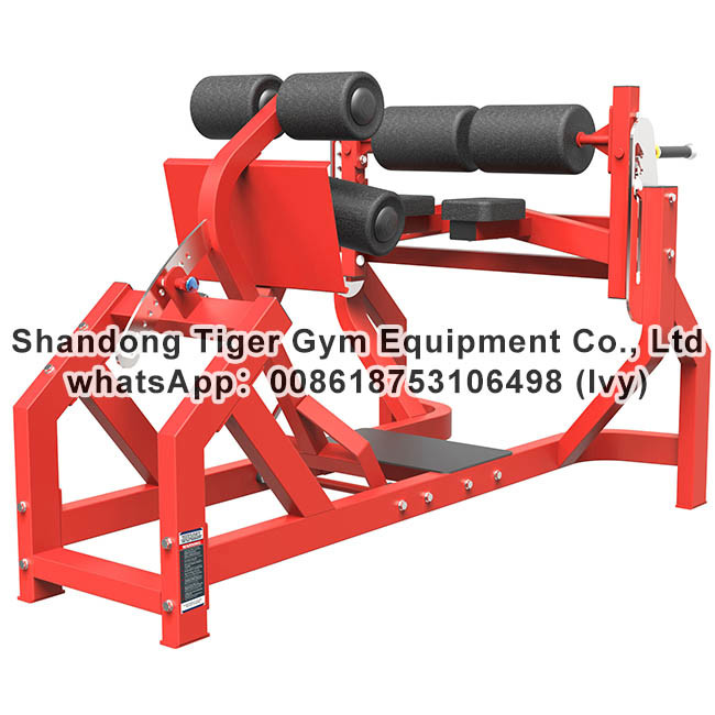 Gym Fitness Equipment Adjustable Abdominal and Back Extension exercise machine