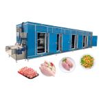Quick Freeze Machine Low Temperature Blast Freezer For Industrial 600kg/H