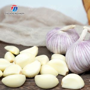 Garlic Peeling Machine garlic Destoning Peeling & polishing processing