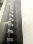 Membrane Separation Technology for Indoor Fish Farm in Recirculating Aquaculture